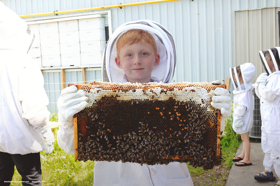 The Bee Works Gift Box | The Bee Works – Beeworks.com